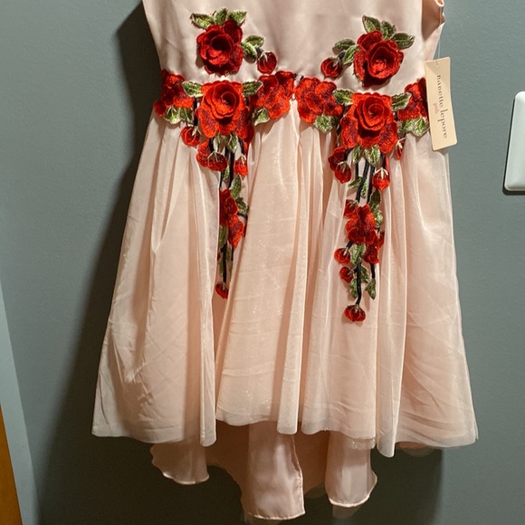 BRAND NEW GIRLS DRESS SIZE 14! NWT. SMOKE FREE HOME. - Picture 5 of 8